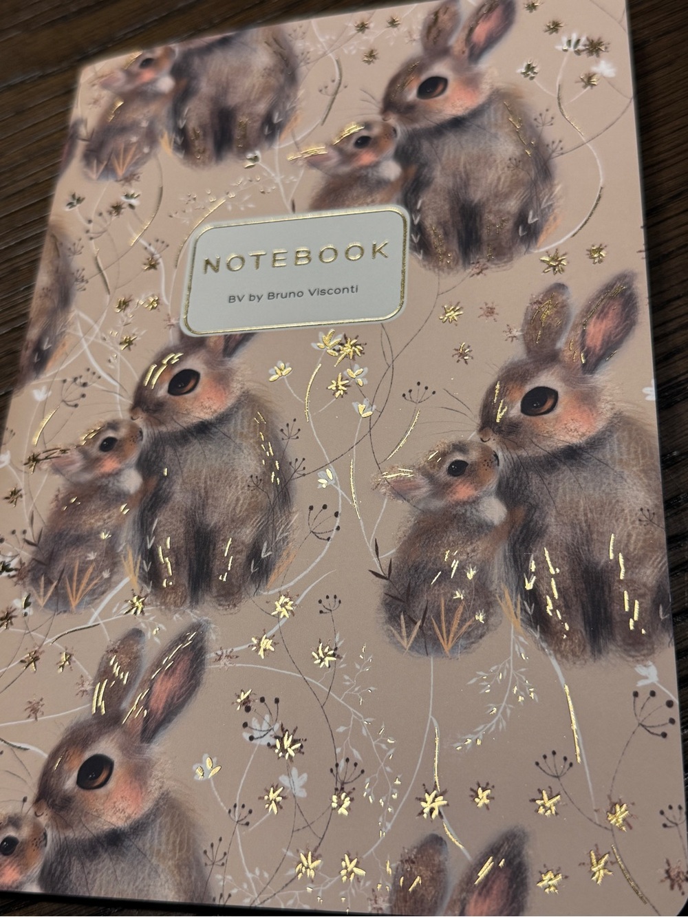 Bruno Visconti Soft Touch Baby Bunny and Mother Notebook Journal A5 NEW